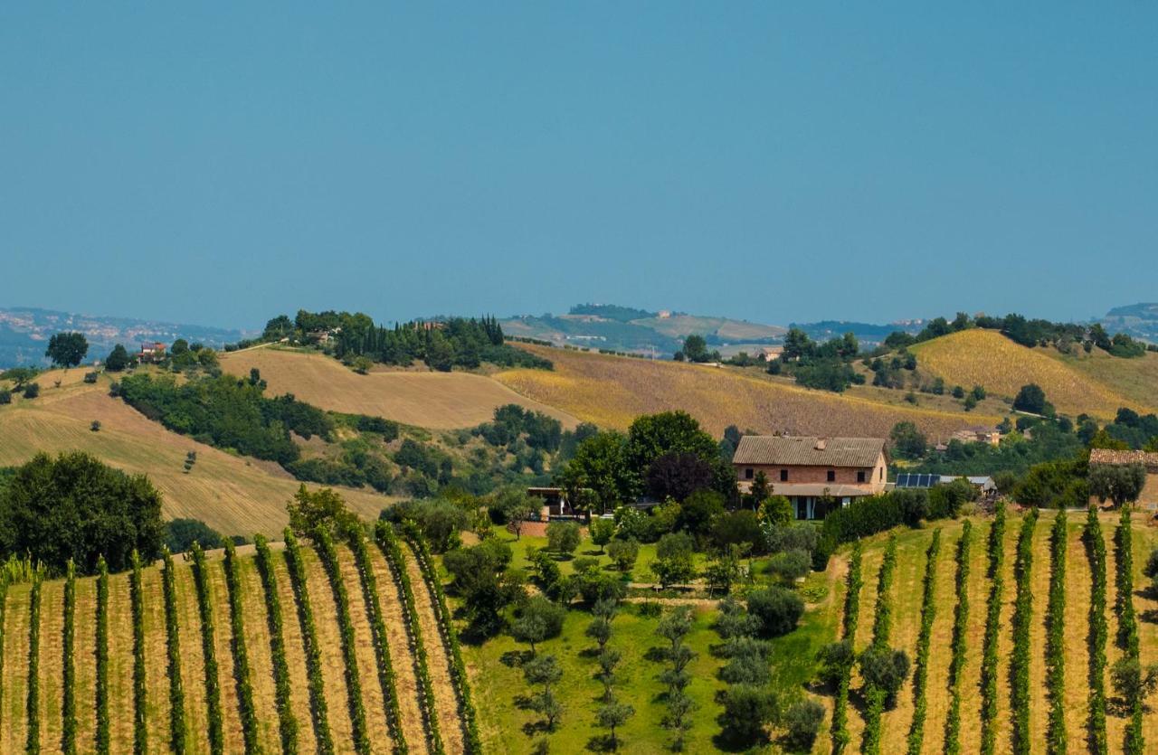 La Vigna Countrybnb Montottone Екстериор снимка